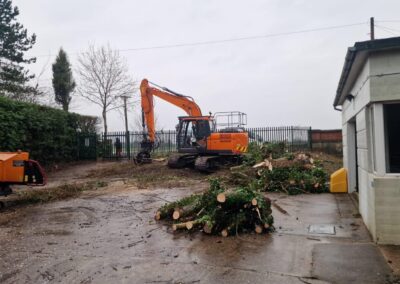 Tree Site Clearance Lincolnshire