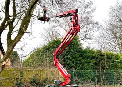 Tree Site Clearance Lincolnshire