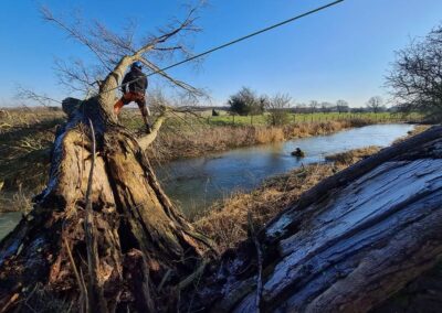 Tree & Vegetation Management Lincolnshire