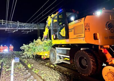 Tree & Vegetation Management Lincolnshire