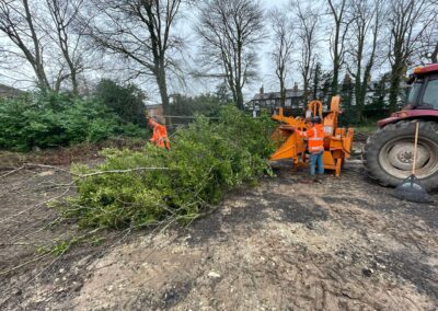 Commercial Tree Site Clearance Lincolnshire