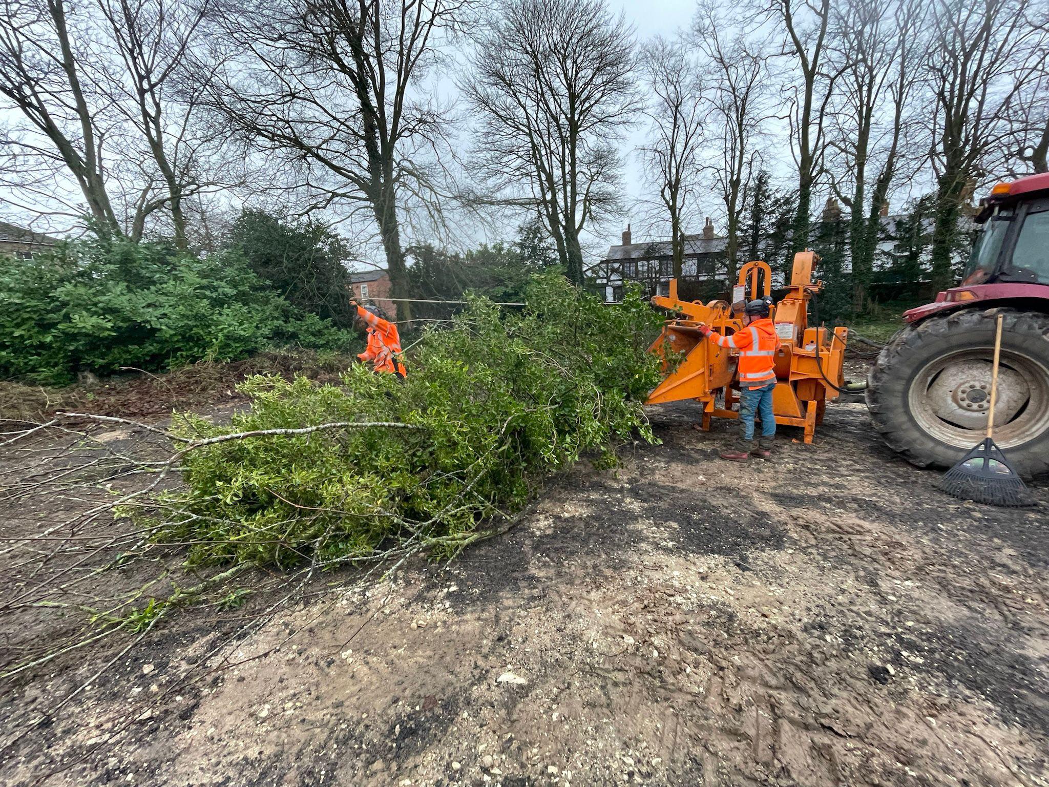 Commercial Tree Site Clearance Lincolnshire